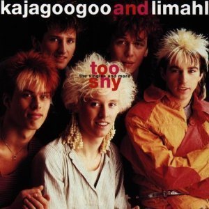 Kajagoogoo / Too Shy: The Singles and More