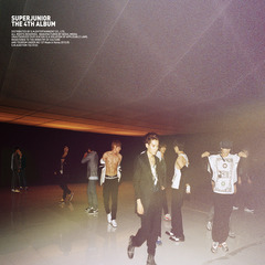 슈퍼주니어(SuperJunior) / 4집-The Fourth Album (Type B)  
