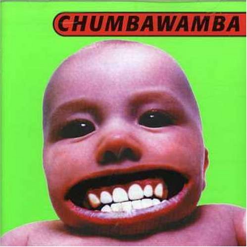 Chumbawamba / Tubthumper