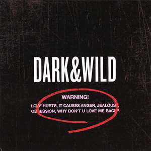 방탄소년단(BTS) / 1집-Dark &amp; Wild