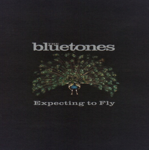 Bluetones / Expecting To Fly