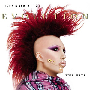Dead Or Alive / Evolution: The Hits (미개봉)
