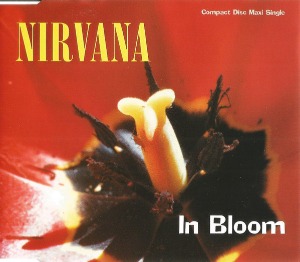 Nirvana / In Bloom (SINGLE)
